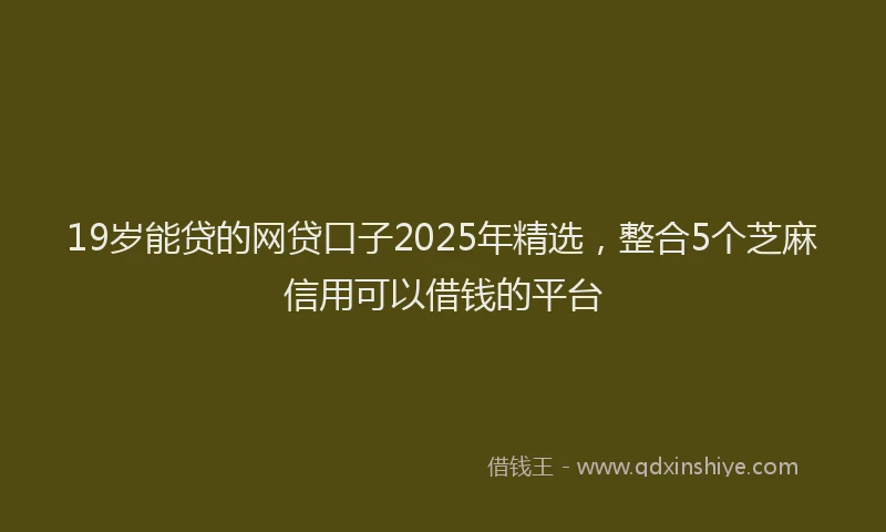 19岁能贷的网贷口子2025年精选，整合5个芝麻信用可以借钱的平台