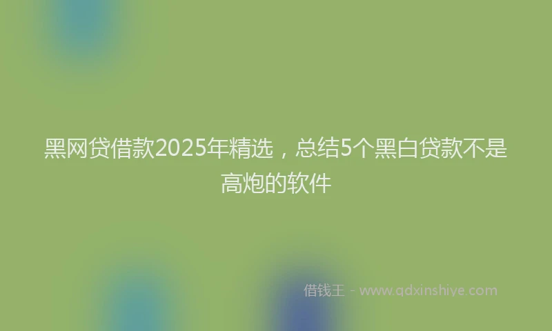 黑网贷借款2025年精选，总结5个黑白贷款不是高炮的软件