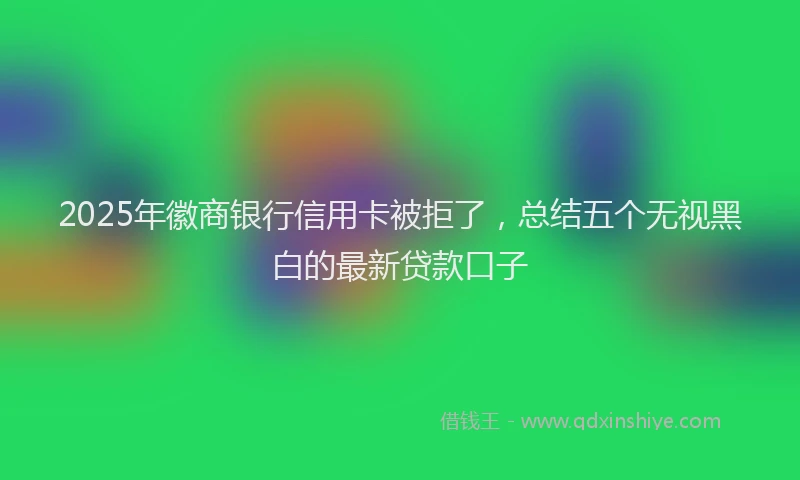 2025年徽商银行信用卡被拒了，总结五个无视黑白的最新贷款口子