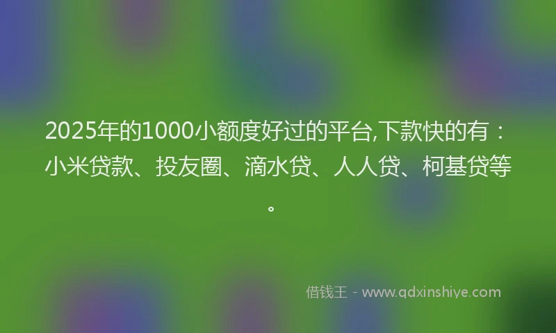 2025年的1000小额度好过的平台,下款快的有：小米贷款、投友圈、滴水贷、人人贷、柯基贷等。