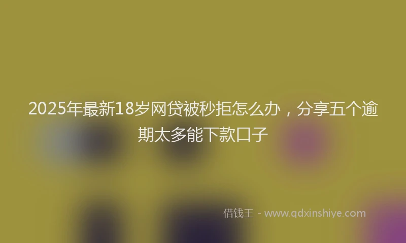 2025年最新18岁网贷被秒拒怎么办，分享五个逾期太多能下款口子