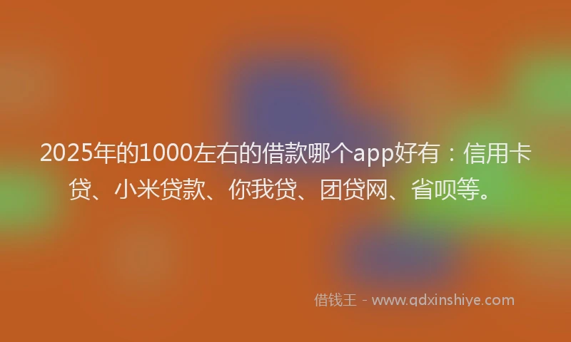 2025年的1000左右的借款哪个app好有：信用卡贷、小米贷款、你我贷、团贷网、省呗等。