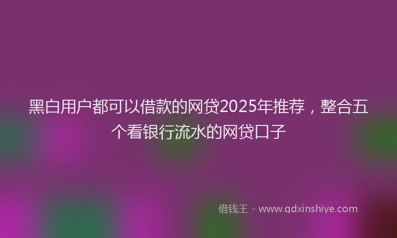 黑白用户都可以借款的网贷2025年推荐，整合五个看银行流水的网贷口子