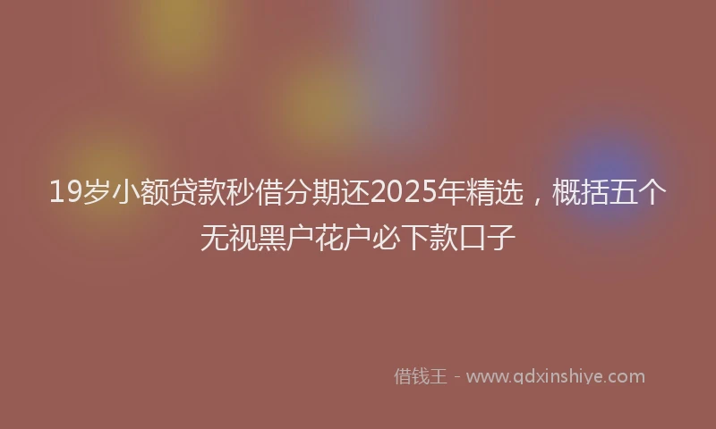 19岁小额贷款秒借分期还2025年精选，概括五个无视黑户花户必下款口子