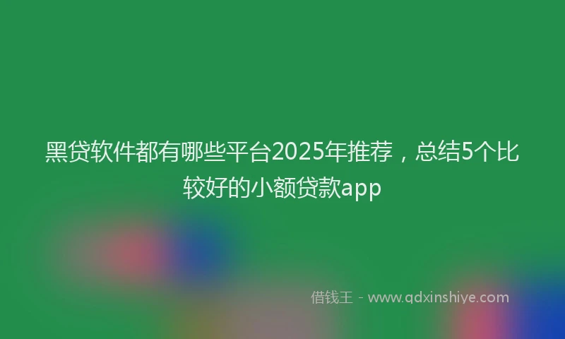 黑贷软件都有哪些平台2025年推荐，总结5个比较好的小额贷款app