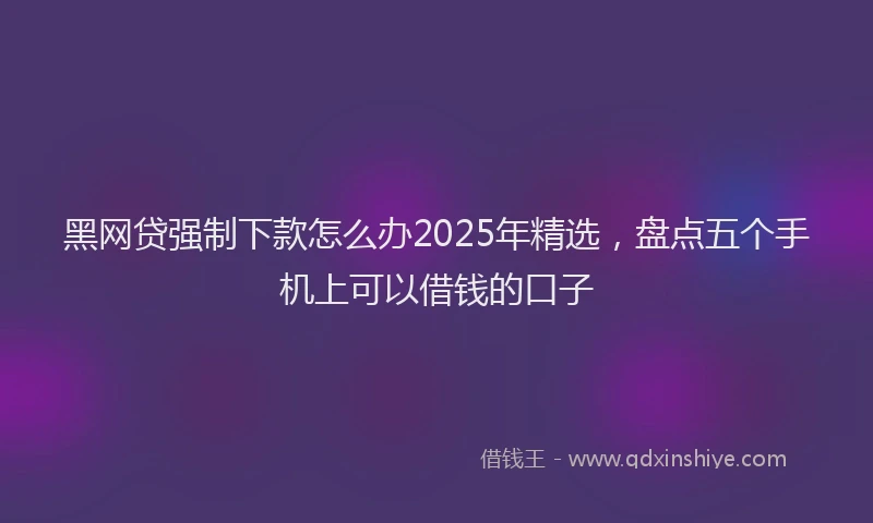 黑网贷强制下款怎么办2025年精选，盘点五个手机上可以借钱的口子