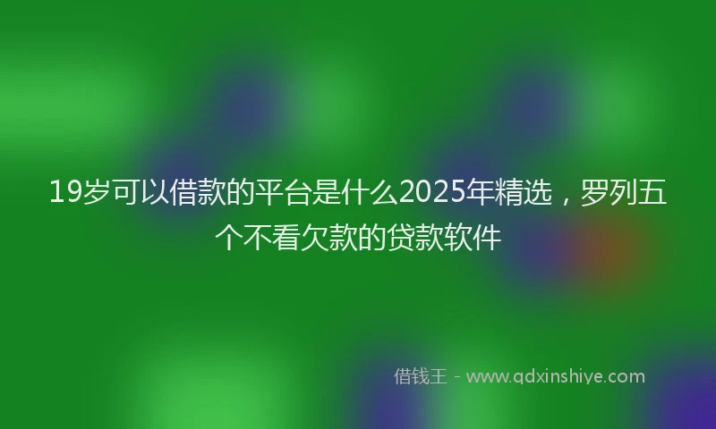 19岁可以借款的平台是什么2025年精选，罗列五个不看欠款的贷款软件