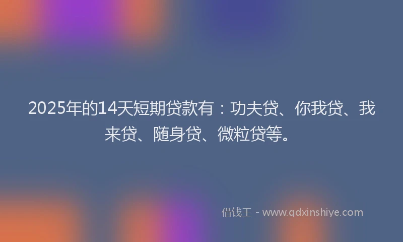 2025年的14天短期贷款有：功夫贷、你我贷、我来贷、随身贷、微粒贷等。