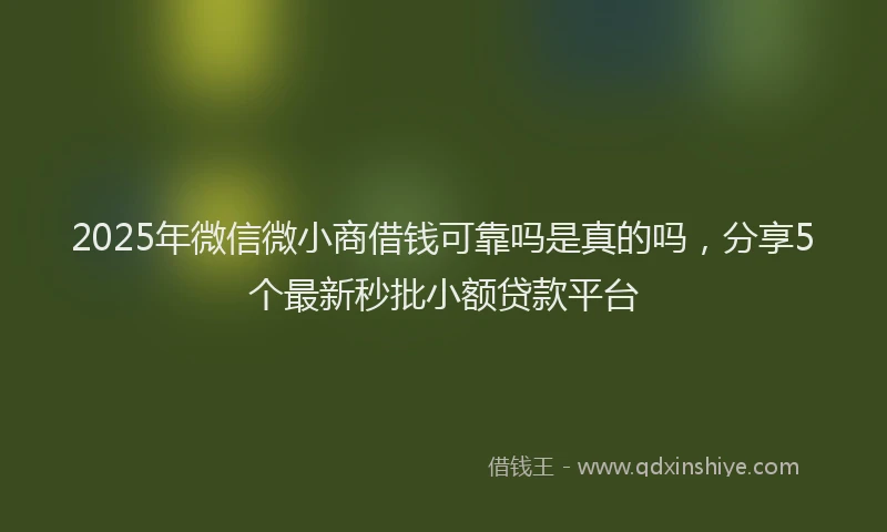 2025年微信微小商借钱可靠吗是真的吗，分享5个最新秒批小额贷款平台