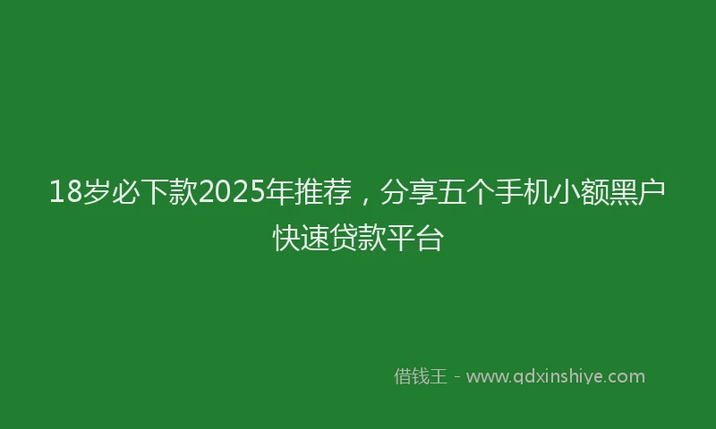 18岁必下款2025年推荐，分享五个手机小额黑户快速贷款平台