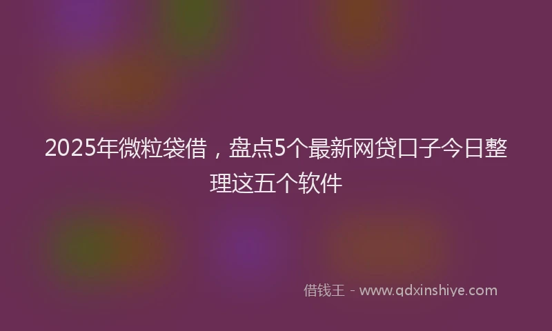 2025年微粒袋借，盘点5个最新网贷口子今日整理这五个软件