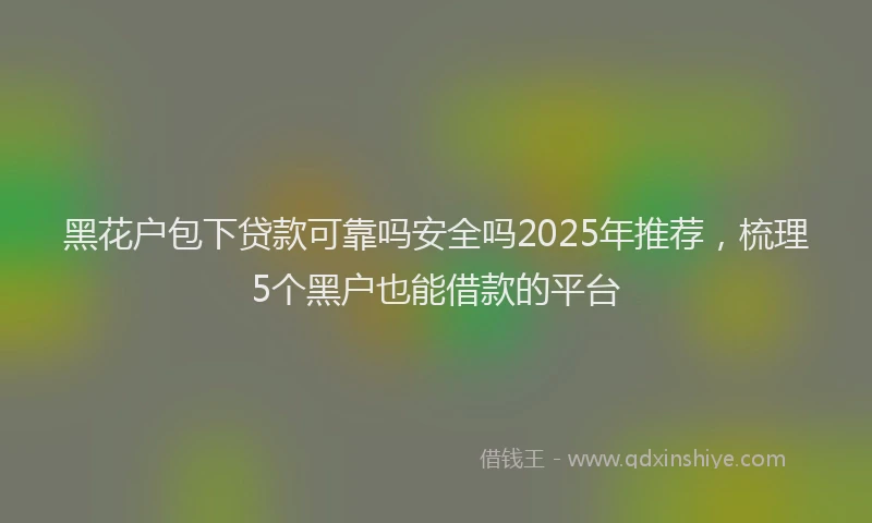 黑花户包下贷款可靠吗安全吗2025年推荐，梳理5个黑户也能借款的平台