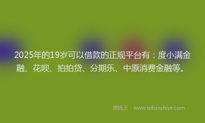 2025年的19岁可以借款的正规平台有：度小满金融、花呗、拍拍贷、分期乐、中原消费金融等。