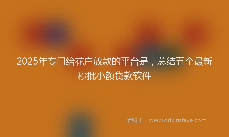 2025年专门给花户放款的平台是，总结五个最新秒批小额贷款软件