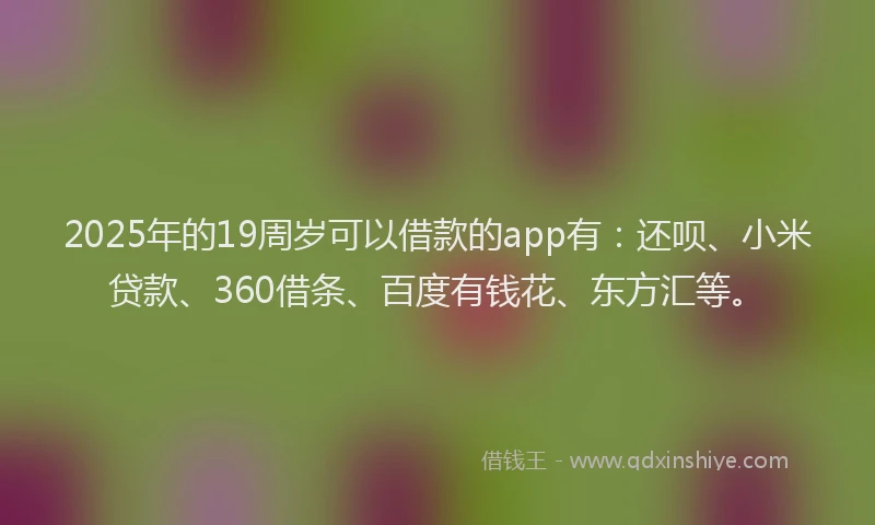 2025年的19周岁可以借款的app有：还呗、小米贷款、360借条、百度有钱花、东方汇等。