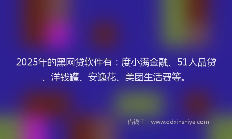 2025年的黑网贷软件有：度小满金融、51人品贷、洋钱罐、安逸花、美团生活费等。
