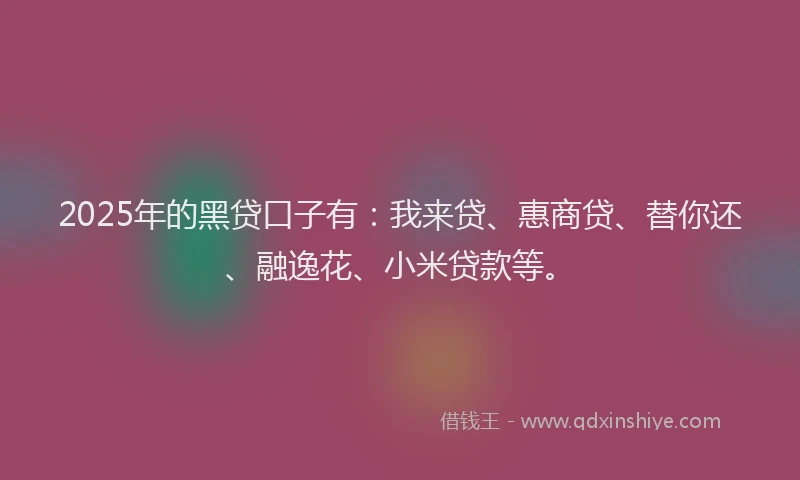 2025年的黑贷口子有：我来贷、惠商贷、替你还、融逸花、小米贷款等。