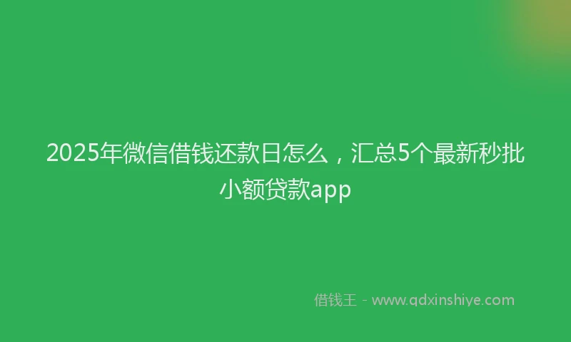 2025年微信借钱还款日怎么，汇总5个最新秒批小额贷款app