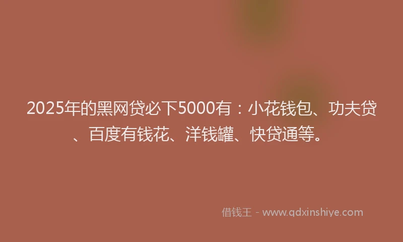 2025年的黑网贷必下5000有：小花钱包、功夫贷、百度有钱花、洋钱罐、快贷通等。