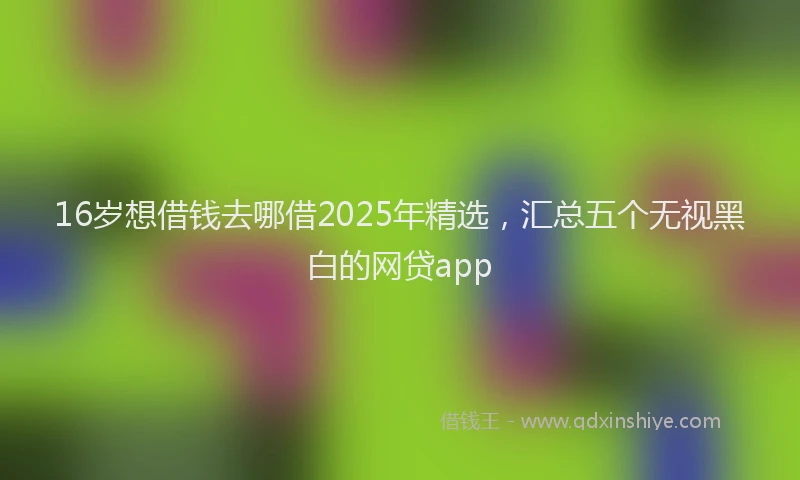 16岁想借钱去哪借2025年精选，汇总五个无视黑白的网贷app