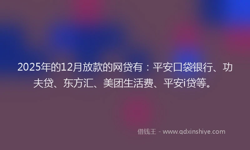 2025年的12月放款的网贷有：平安口袋银行、功夫贷、东方汇、美团生活费、平安i贷等。