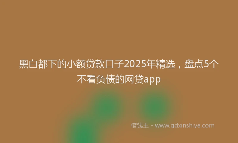黑白都下的小额贷款口子2025年精选，盘点5个不看负债的网贷app