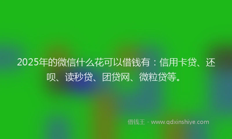 2025年的微信什么花可以借钱有：信用卡贷、还呗、读秒贷、团贷网、微粒贷等。
