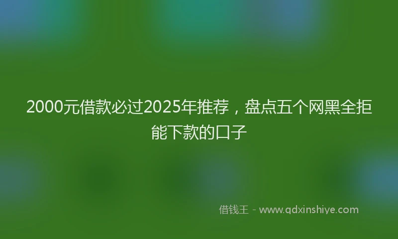 2000元借款必过2025年推荐，盘点五个网黑全拒能下款的口子