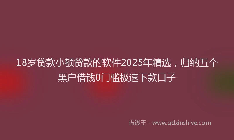 18岁贷款小额贷款的软件2025年精选，归纳五个黑户借钱0门槛极速下款口子
