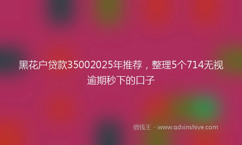 黑花户贷款35002025年推荐，整理5个714无视逾期秒下的口子