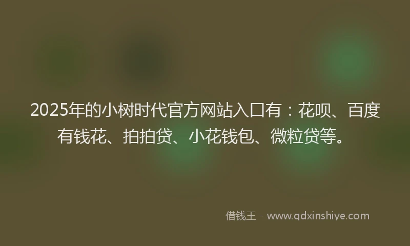 2025年的小树时代官方网站入口有：花呗、百度有钱花、拍拍贷、小花钱包、微粒贷等。