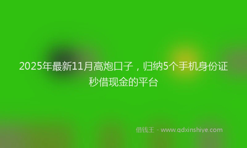 2025年最新11月高炮口子，归纳5个手机身份证秒借现金的平台