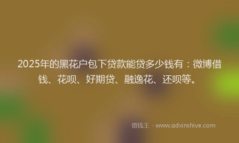 2025年的黑花户包下贷款能贷多少钱有：微博借钱、花呗、好期贷、融逸花、还呗等。