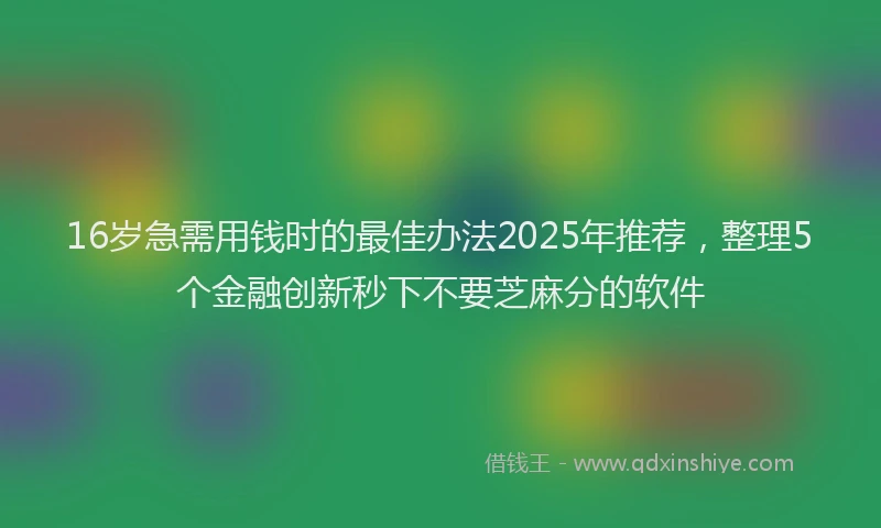 16岁急需用钱时的最佳办法2025年推荐，整理5个金融创新秒下不要芝麻分的软件