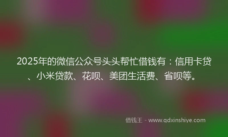 2025年的微信公众号头头帮忙借钱有：信用卡贷、小米贷款、花呗、美团生活费、省呗等。