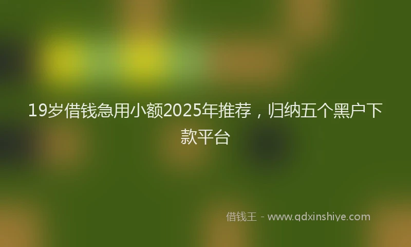 19岁借钱急用小额2025年推荐，归纳五个黑户下款平台
