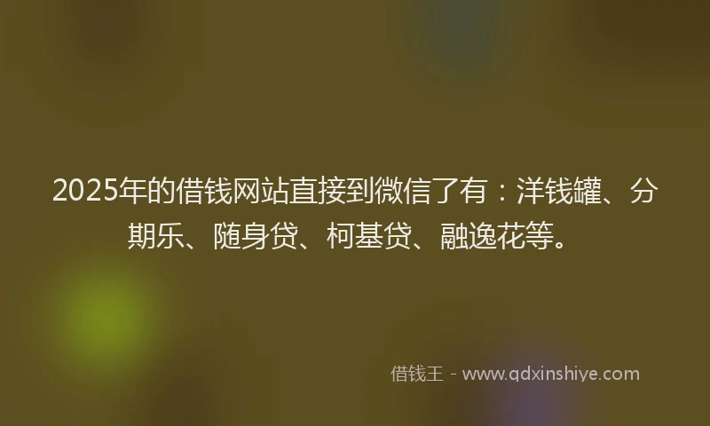 2025年的借钱网站直接到微信了有：洋钱罐、分期乐、随身贷、柯基贷、融逸花等。