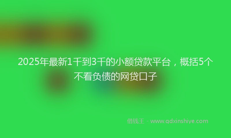 2025年最新1千到3千的小额贷款平台，概括5个不看负债的网贷口子