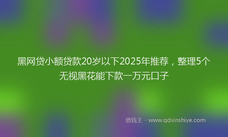 黑网贷小额贷款20岁以下2025年推荐，整理5个无视黑花能下款一万元口子