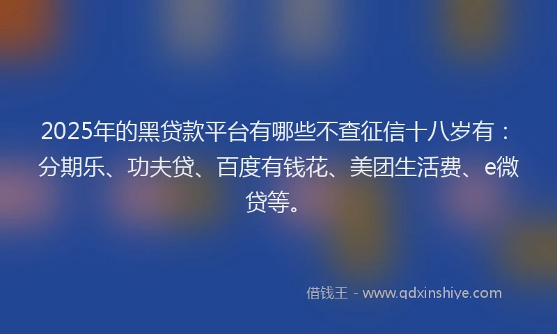 2025年的黑贷款平台有哪些不查征信十八岁有：分期乐、功夫贷、百度有钱花、美团生活费、e微贷等。