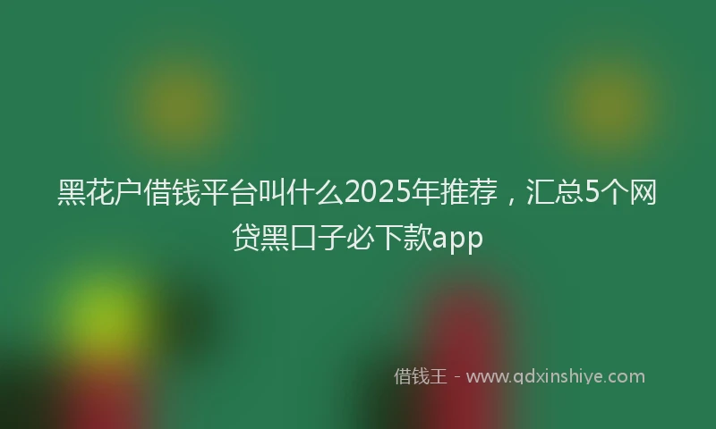 黑花户借钱平台叫什么2025年推荐，汇总5个网贷黑口子必下款app
