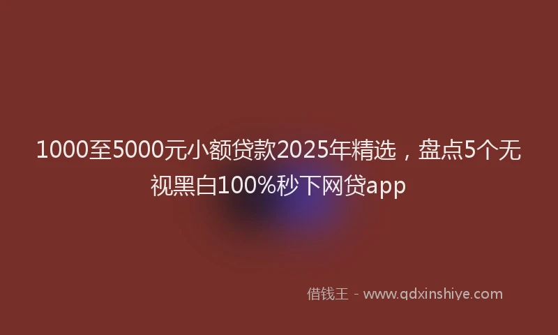 1000至5000元小额贷款2025年精选，盘点5个无视黑白100%秒下网贷app