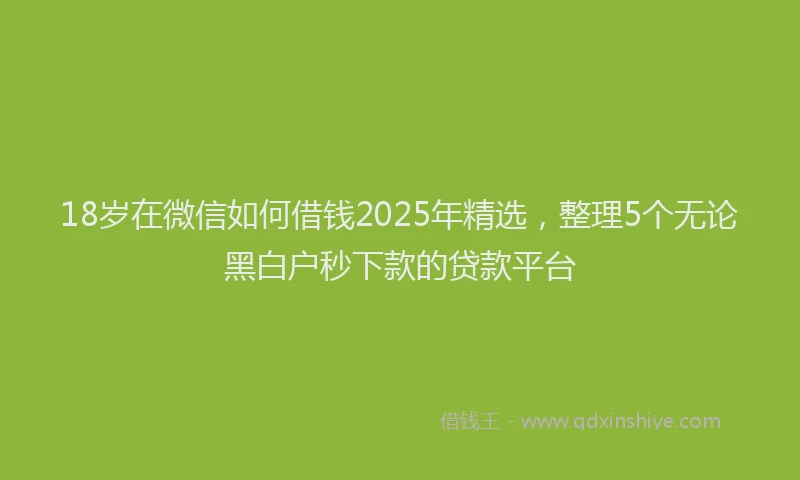 18岁在微信如何借钱2025年精选，整理5个无论黑白户秒下款的贷款平台