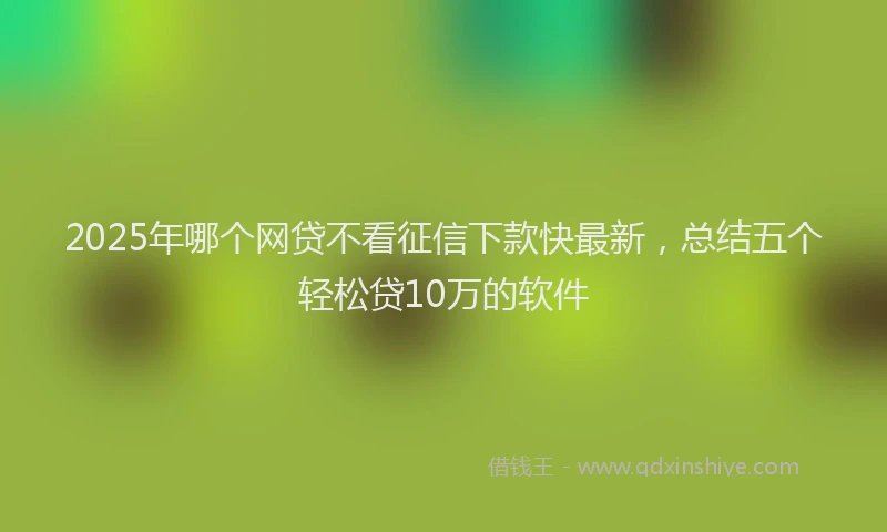 2025年哪个网贷不看征信下款快最新，总结五个轻松贷10万的软件