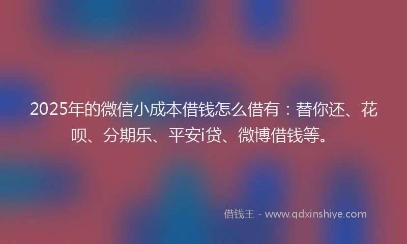 2025年的微信小成本借钱怎么借有：替你还、花呗、分期乐、平安i贷、微博借钱等。
