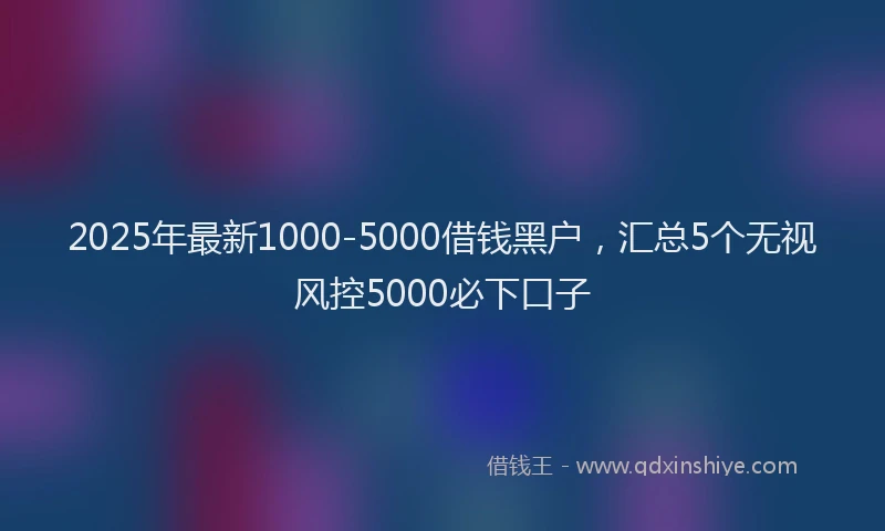 2025年最新1000-5000借钱黑户，汇总5个无视风控5000必下口子