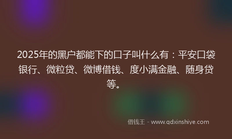 2025年的黑户都能下的口子叫什么有：平安口袋银行、微粒贷、微博借钱、度小满金融、随身贷等。