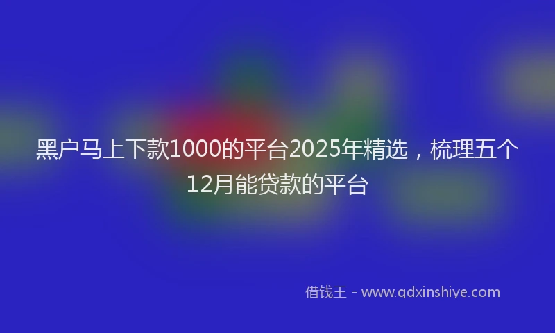 黑户马上下款1000的平台2025年精选，梳理五个12月能贷款的平台