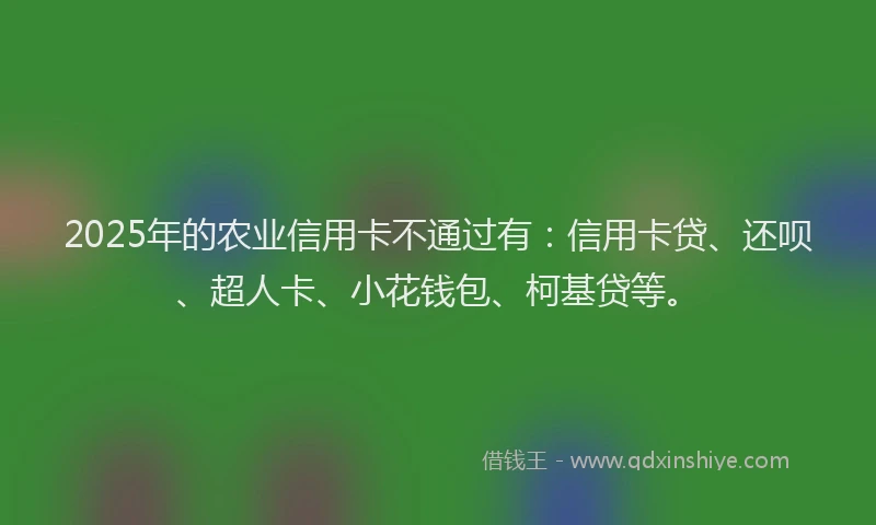 2025年的农业信用卡不通过有：信用卡贷、还呗、超人卡、小花钱包、柯基贷等。