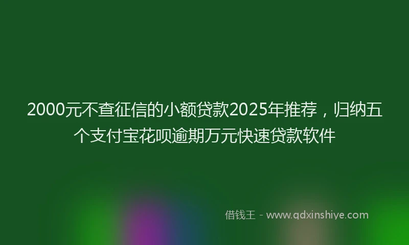 2000元不查征信的小额贷款2025年推荐，归纳五个支付宝花呗逾期万元快速贷款软件